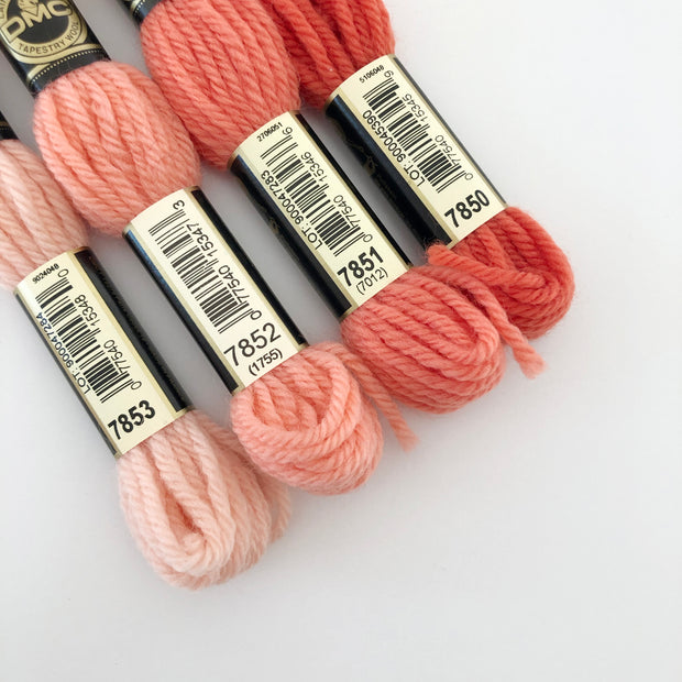 Tapestry Wool: Oranges, Corals, Peaches